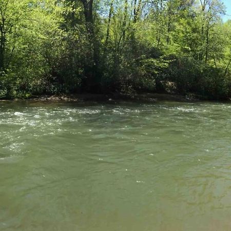 Cabin Fever On Cartecay River Ellijay Exterior foto